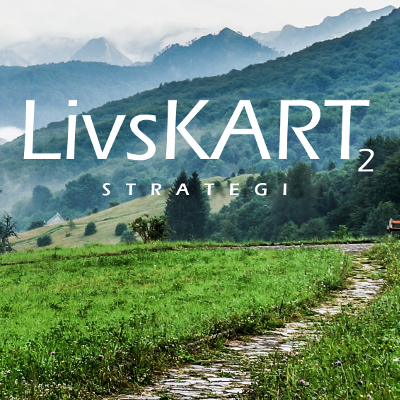 LivsKART 2