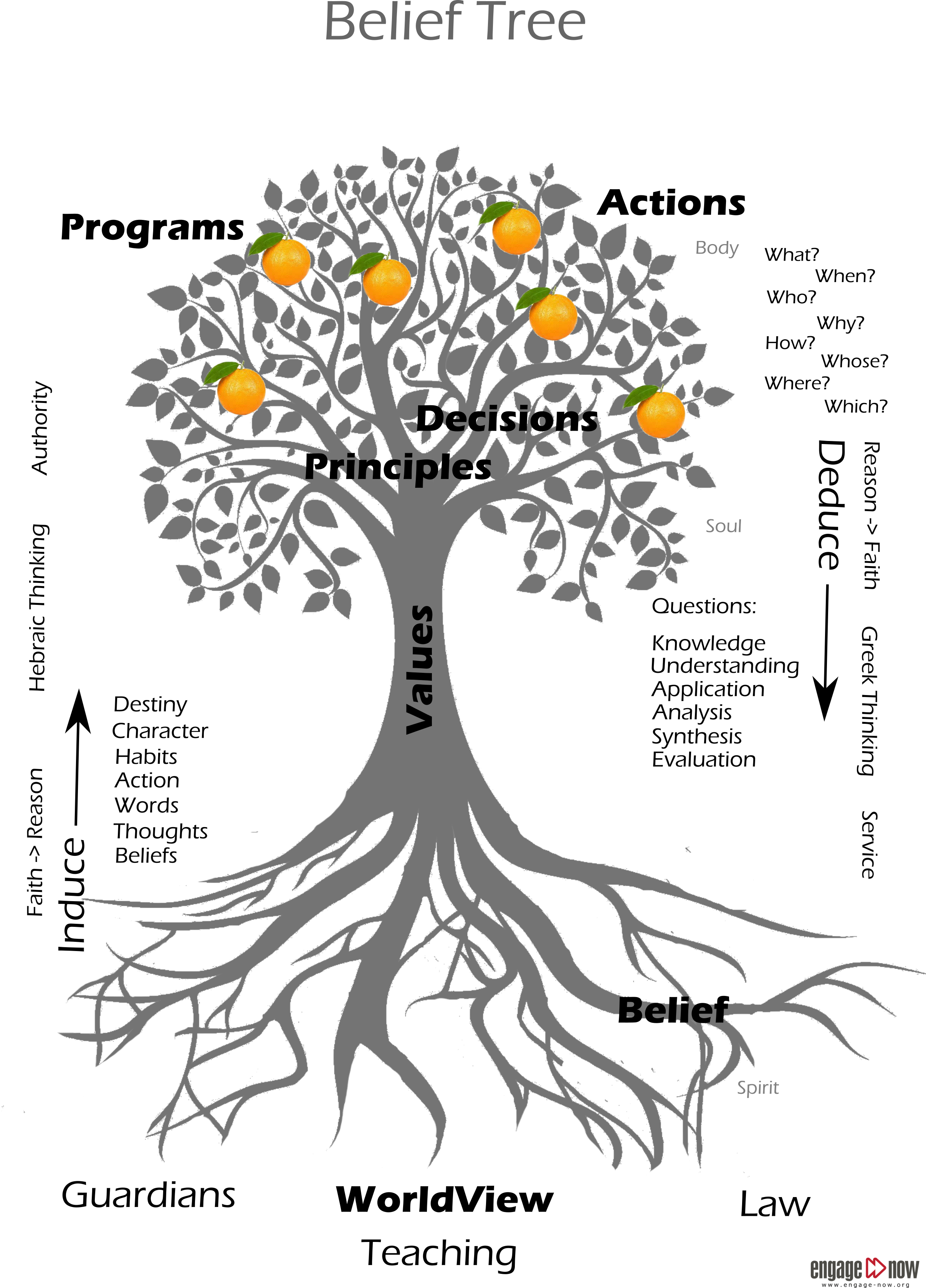 Belief Tree